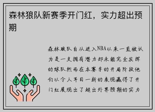 森林狼队新赛季开门红，实力超出预期
